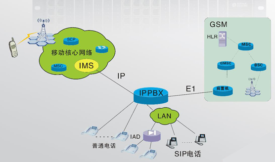 imsD,imsMW(wng)D